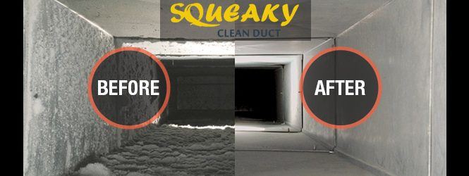 Professional Duct Cleaning Services