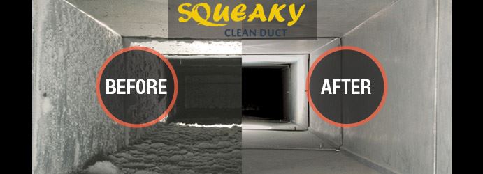 Professional Duct Cleaning Services 